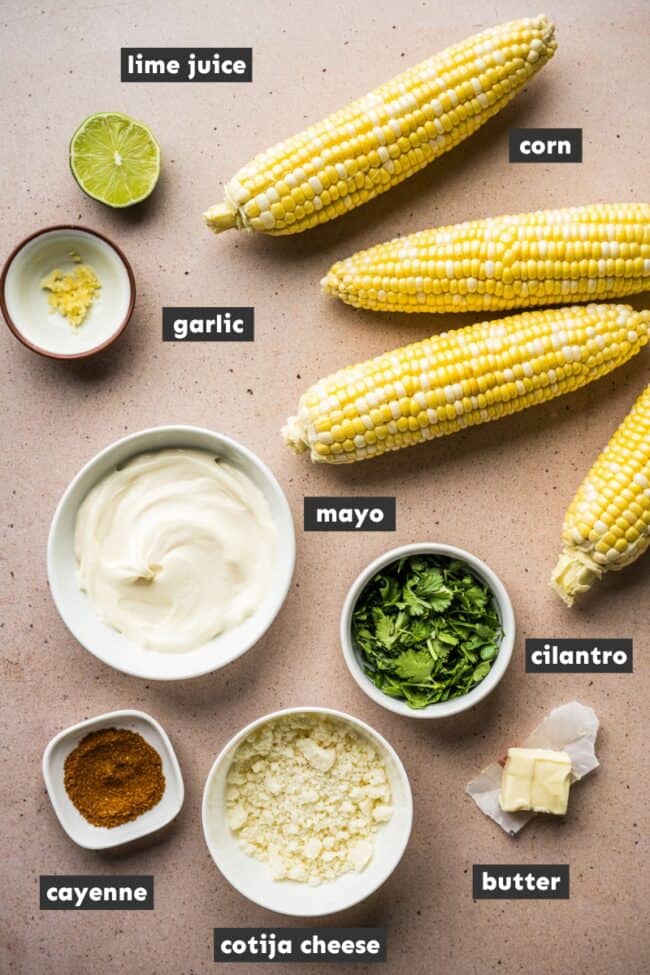 Elote (Mexican Street Corn) Isabel Eats