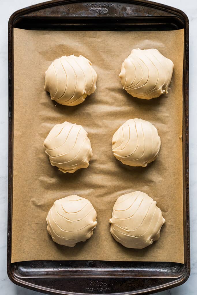 Shaped maple conchas on a baking sheet ready to be baked.