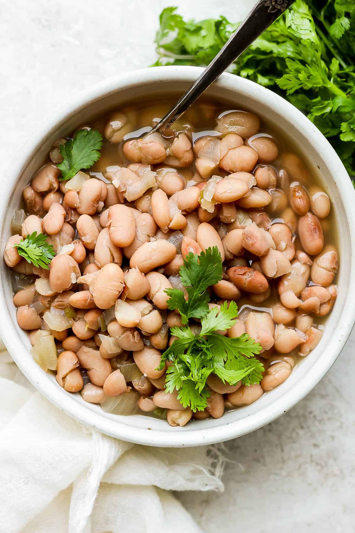 Pinto beans in a bowl garnished with cilantro.