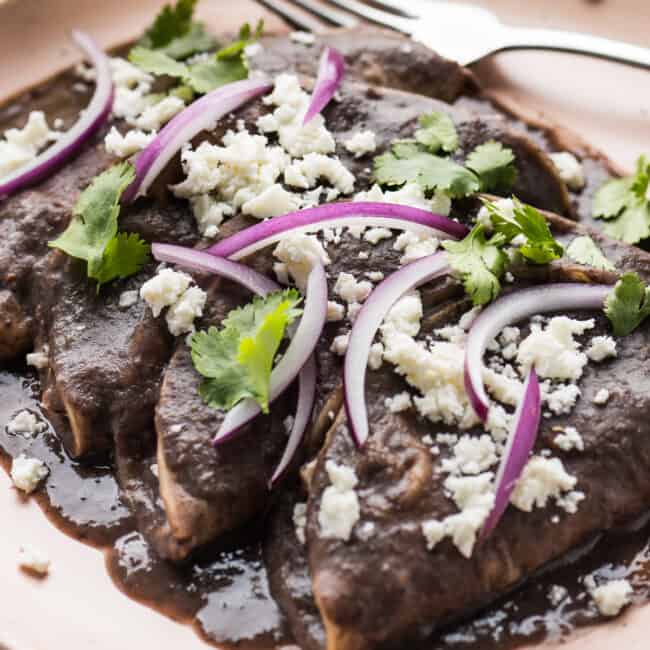 Enfrijoladas on a plate topped with queso fresco cilantro, and sliced red onion.