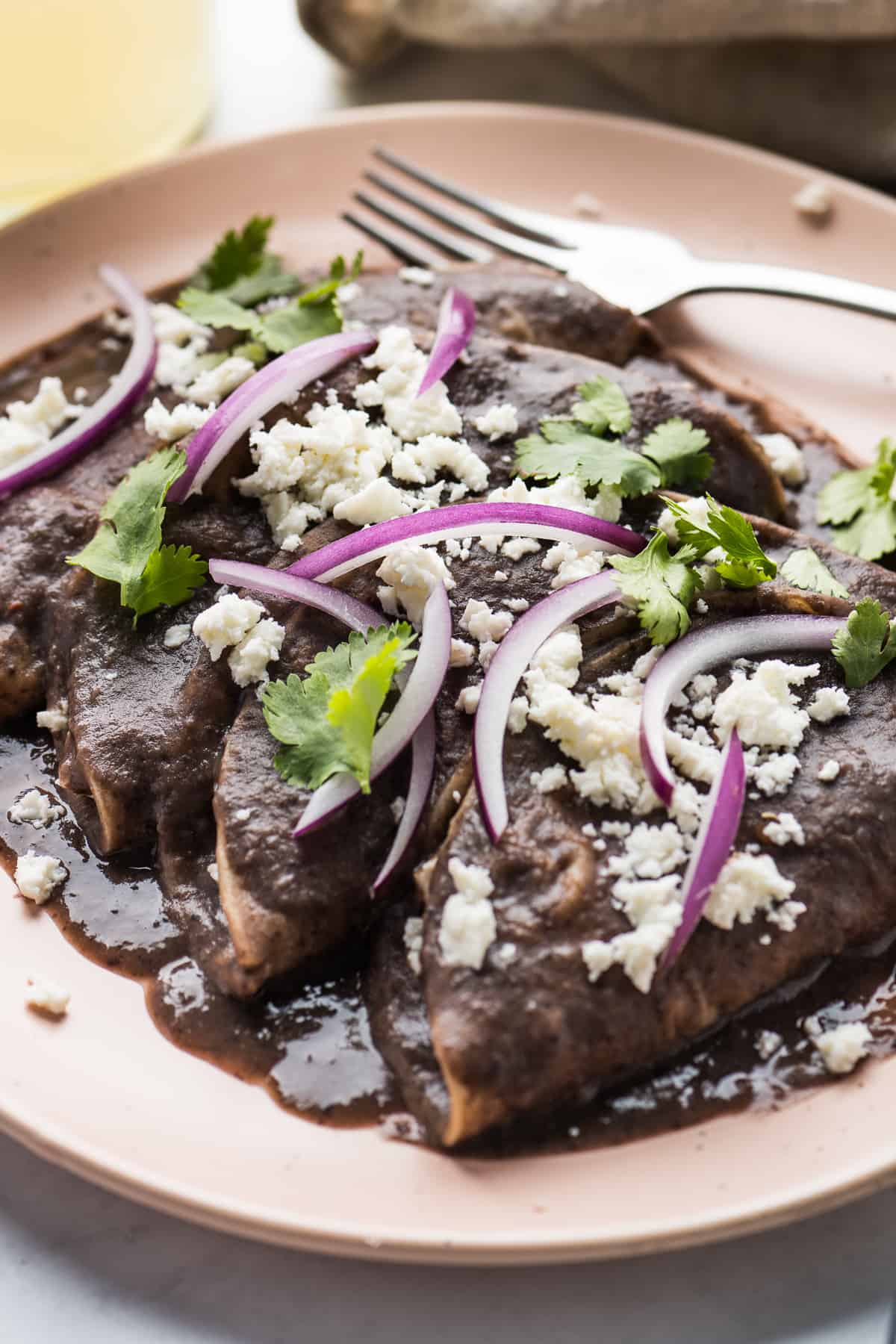 Enfrijoladas on a plate topped with queso fresco cilantro, and sliced red onion.