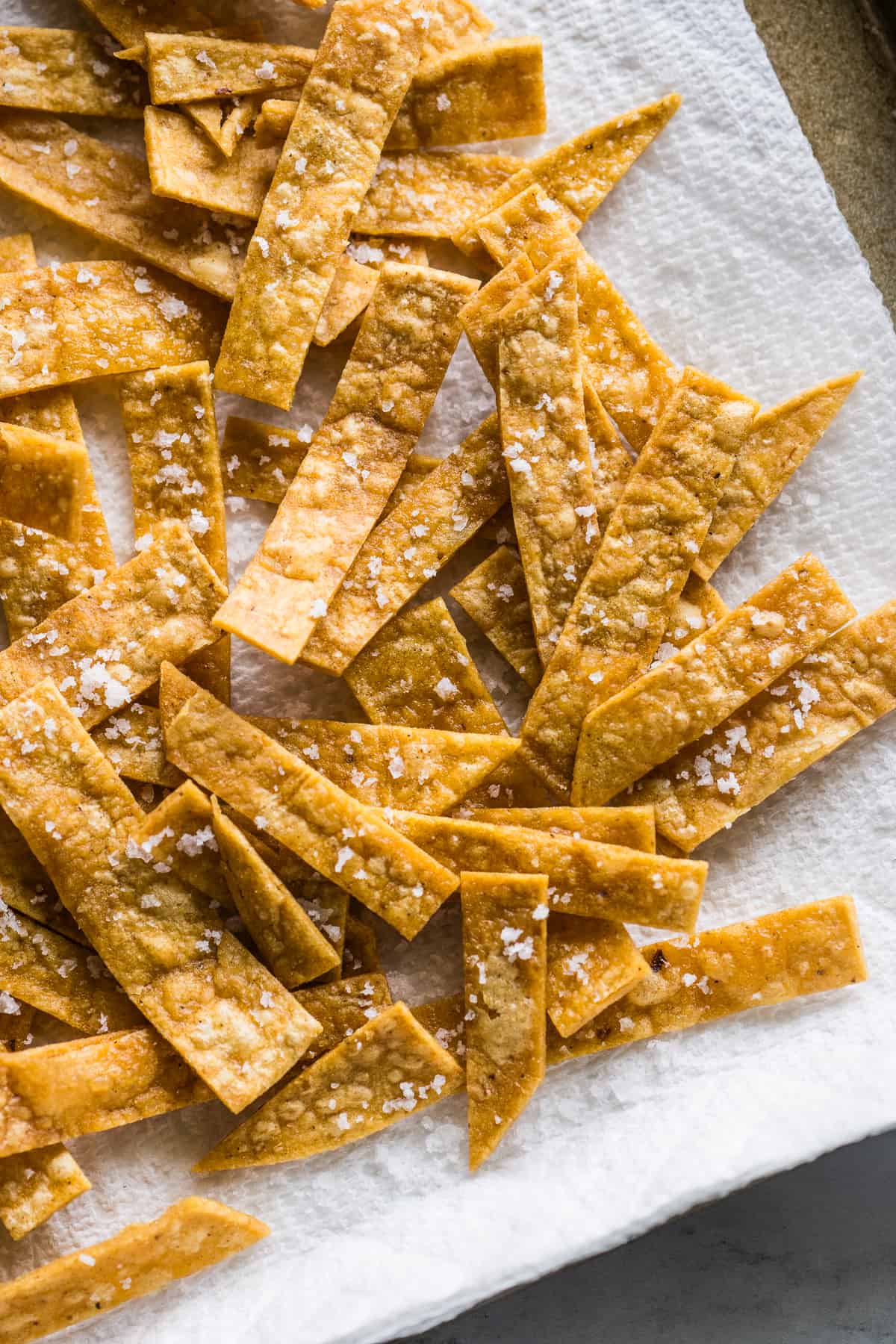 Tortilla strips seasoned with flaky sea salt.