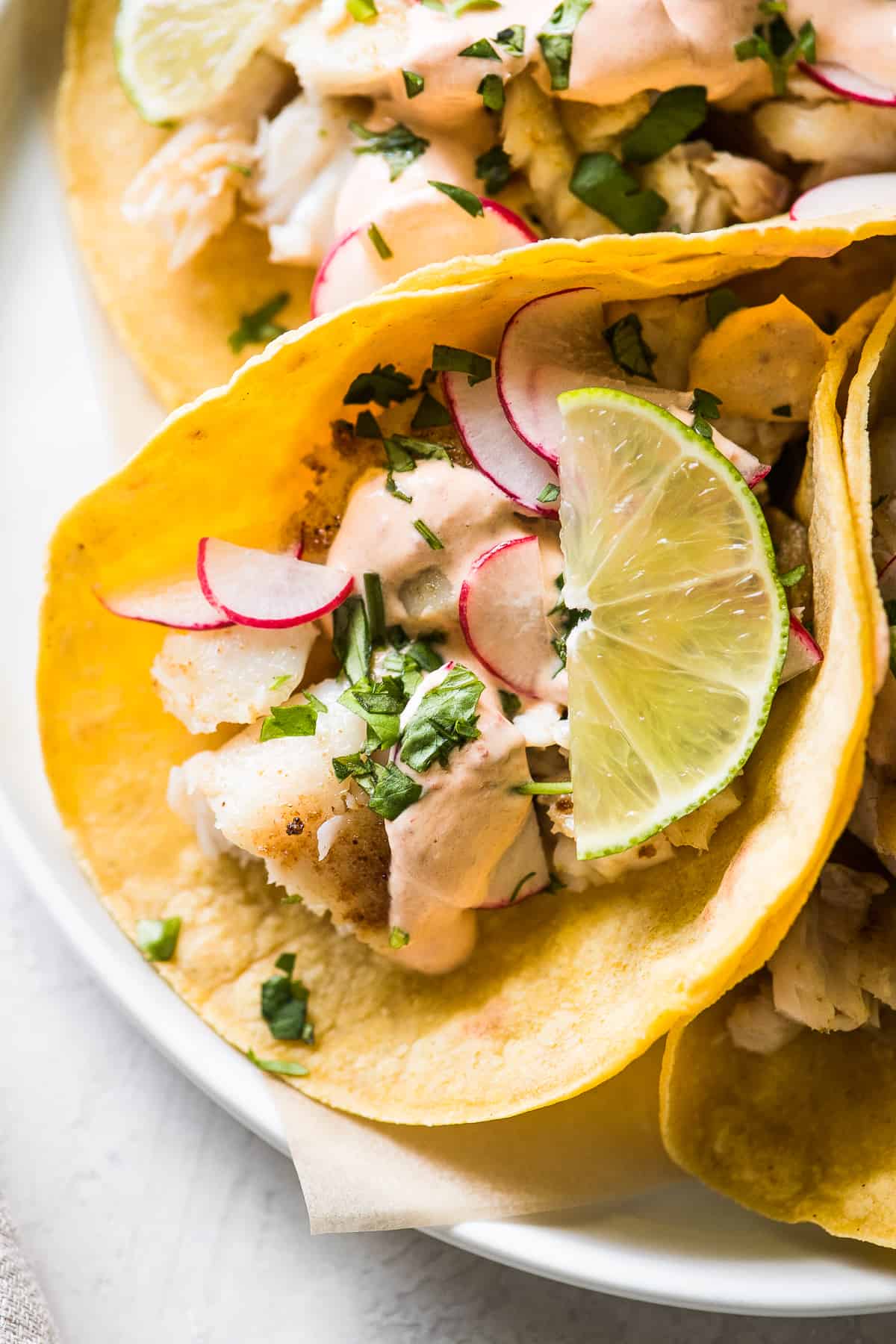 Tilapia fish tacos on corn tortillas.