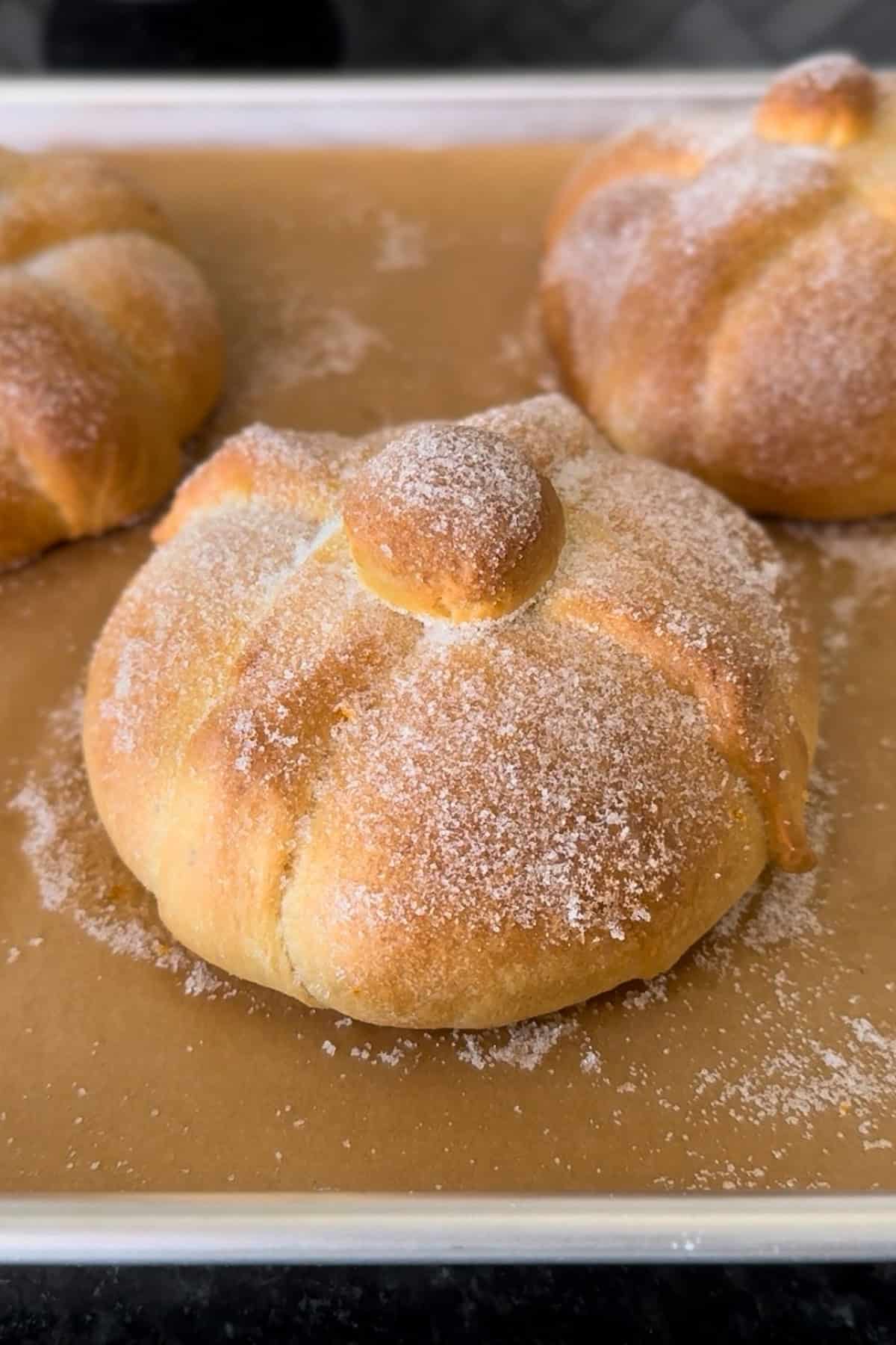 A loaf of pan de muerto covered in sugar on a baking sheet ready to be eaten.