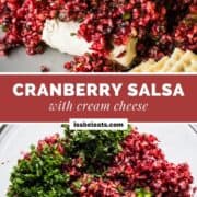 Cranberry Salsa