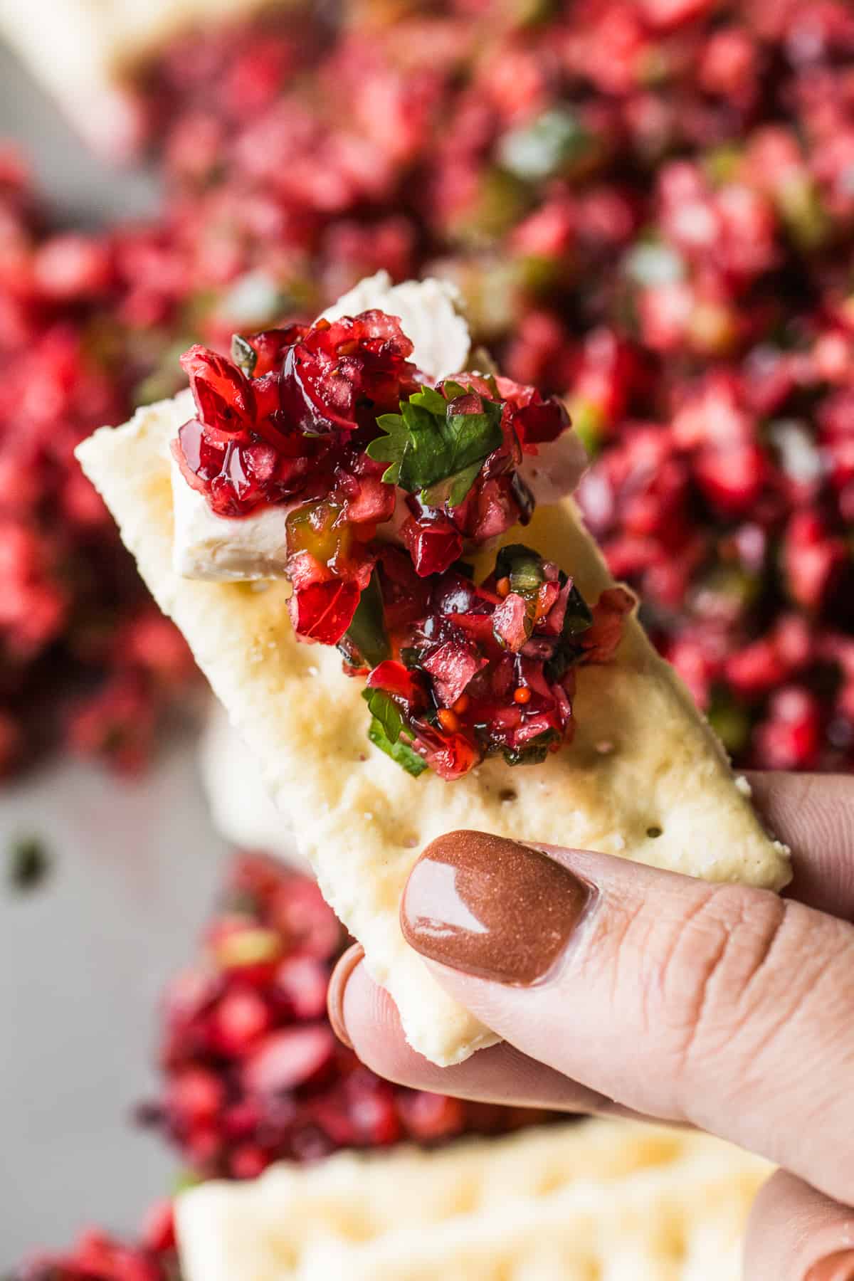 Cranberry salsa on a buttery cracker.