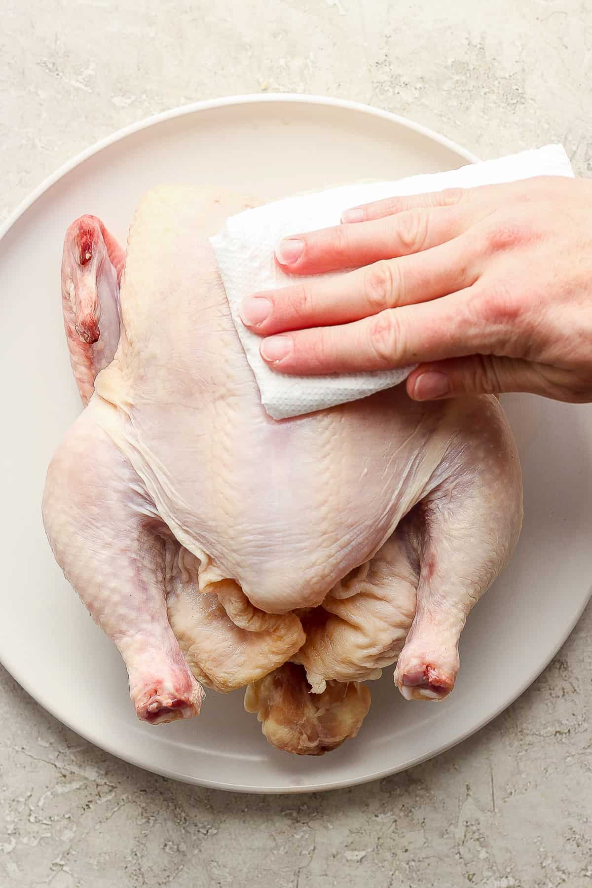 A raw whole chicken being patted dry with a paper towel.