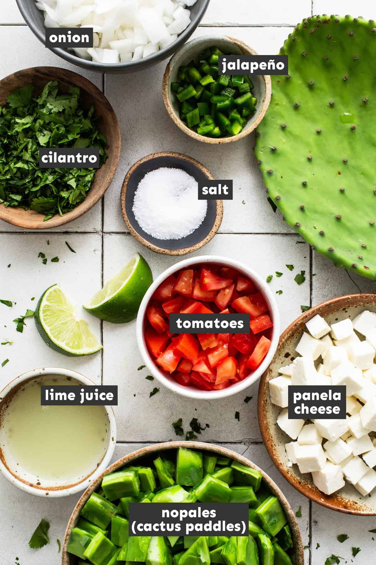 Ingredients for ensalada de nopales on the table