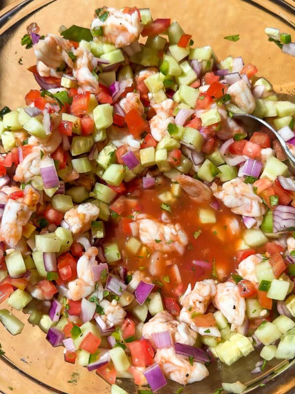 Mexican ceviche in a bowl ready to serve.