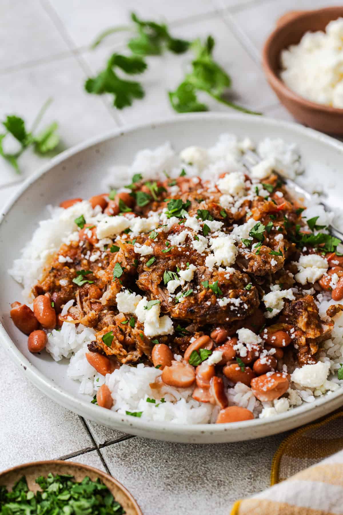 Morisqueta made from white rice, pinto beans, and pork ribs in salsa in a bowl garnished with chopped cilantro and queso fresco.