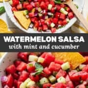 Watermelon Salsa with Mint and Cucumber