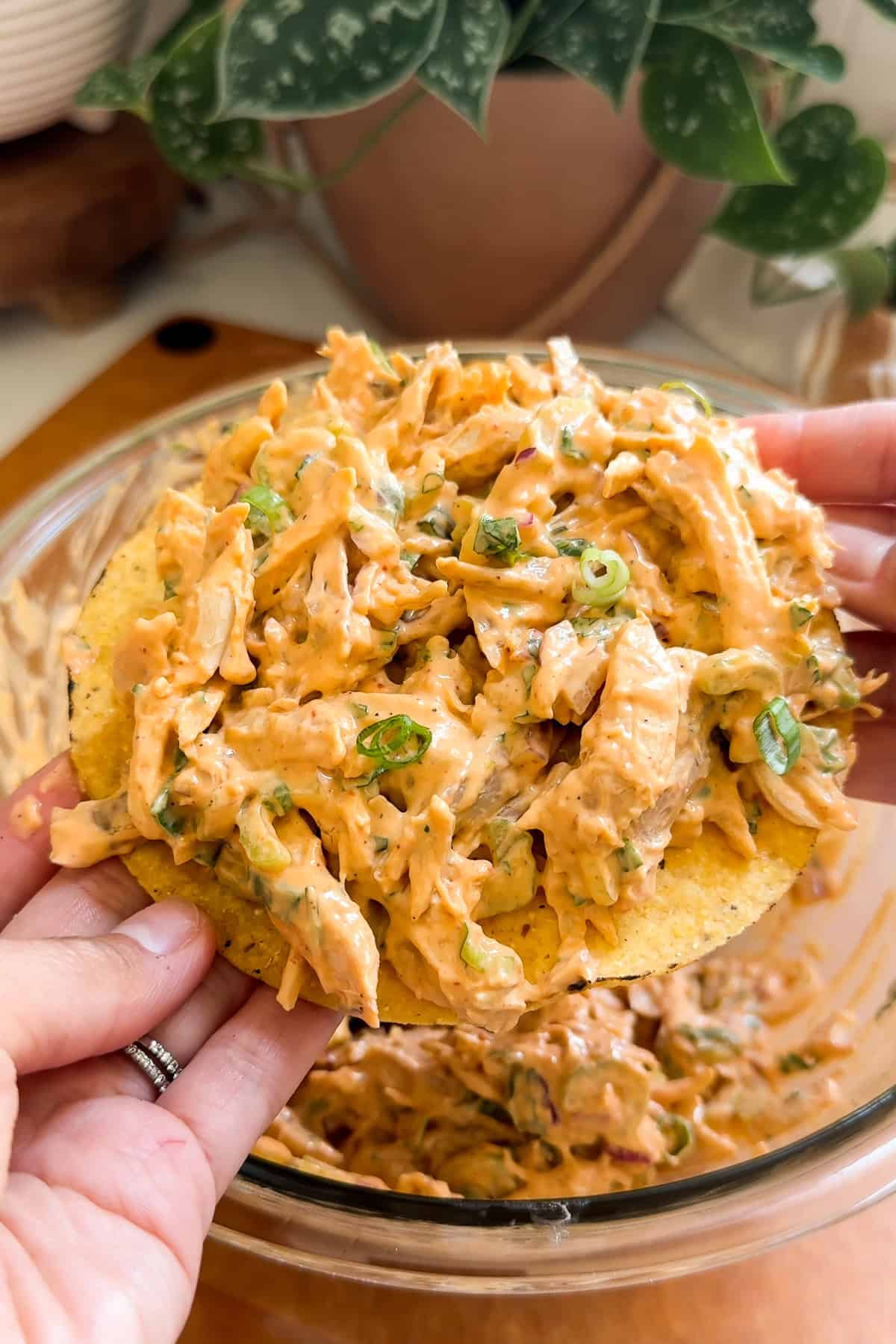 Chipotle chicken salad on top of a tostada garnished with green onions.
